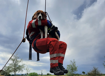 Suchhunde, RK Schwechat, Suchhunde Niederösterreich, Flächensuche