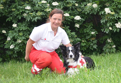 Suchhunde, Rettungshund, Flächensuche, RK, Suchhunde Niederösterreich