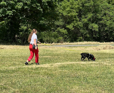 RK Schwechat, Suchhunde, Suchhunde Niederösterreich, Flächensuche, IT Tracking