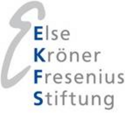 Kooperationspartner Fresenius Stiftung Logo