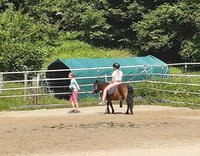 Reiten am Pferdehof Kurzmann