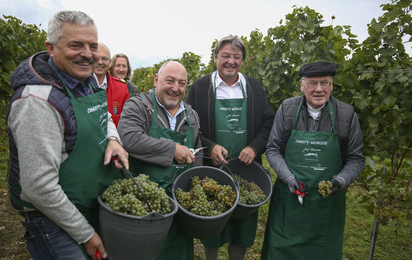 Erfolgreiche Lese: Josef Dockner, Weinpate Rudi Rubinek, Präsident Josef Schmoll und Diözesanbischof Alois Schwarz. Im Hintergrund Chefarzt und Ärztlicher Leiter Rettungsdienst Berndt Schreiner und Künstler Josef Trattner.