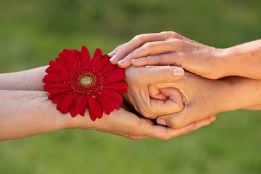 Zwei Handpaare ineinandergreifend mit roter Blume