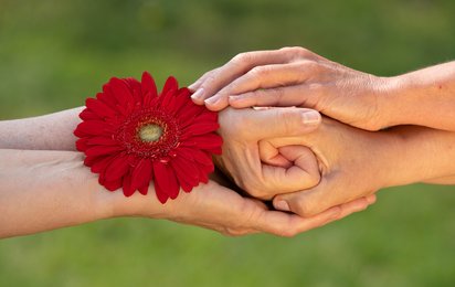 Zwei Handpaare ineinandergreifend mit roter Blume