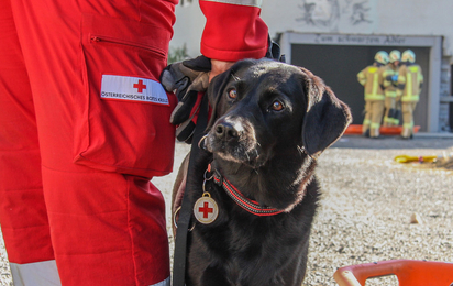 Im Bild ist ein Hund der Suchhundestaffel Tirol zu sehen. Er ist mit seinem Hundeführer unterwegs, von dem nur die Beide zu sehen sind. Die beiden nehmen an einer Übung teil