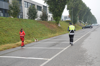 Suchhunde Schwechat, Rotes Kreuz, Suchhunde Niederösterreich