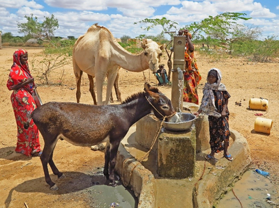 Drei Kenianerinnen pumpen Wasser für ihr Vieh von einer Wasserstelle. Der Boden rundherum ist ausgetrocknet.