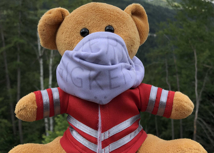 Ein brauner Plüschbär in roter Rot-Kreuz Jacke und grauem Mundschutz vor einer Wald- und Bergkulisse