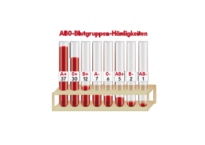 Grafik zur Verteilung der Blutgruppen. Die Häufigkeit der Blutgruppen innerhalb der österreichischen Bevölkerung ist sehr unterschiedlich. Die seltenste Blutgruppe ist AB negativ.