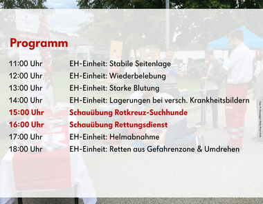 Programm