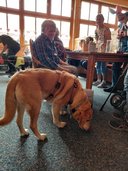 Therapiehund sorgt für strahlende Gesichter.