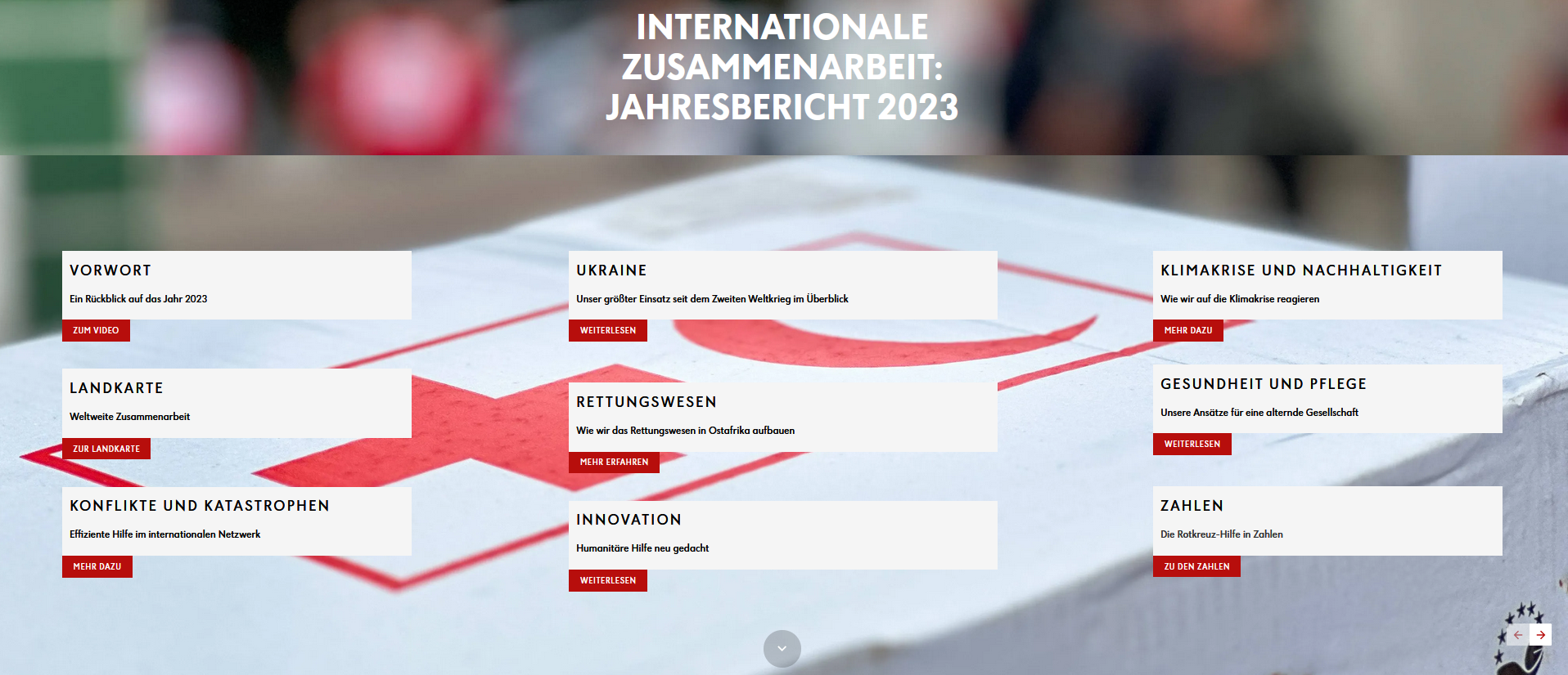 Jahresbericht IZ 2023